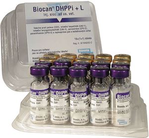 Picture of Biocan DHPPI+L