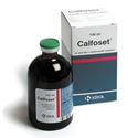 Picture of Calfoset 100 ml
