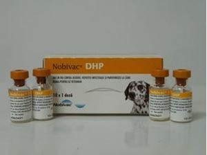 Picture of Nobivac DHP 10 dz