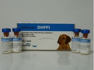 Picture of Nobivac DHPPI