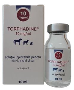 Torphadine 10 mg/ml 10 ml