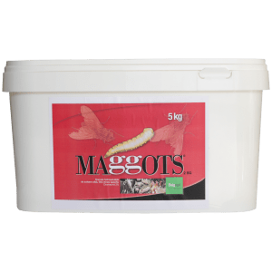 Picture of Maggots 5 kg