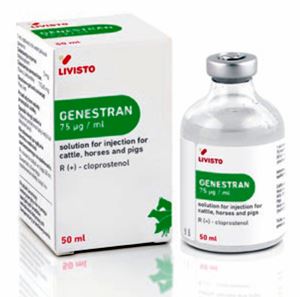 Picture of Genestran injekció 50 ml