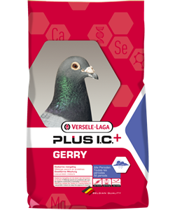 Picture of VL Pigeon Feed Gerry Plus IC 20 kg
