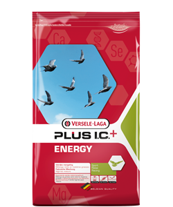 Picture of VL Pigeon Feed Energy Plus IC 18 kg