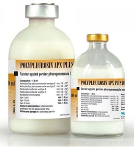 Picture of Polypleurosin APX PLUS IM  250 dz.