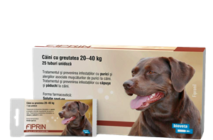 Fiprin 268 mg spot dog L 25 x 2,68 ml