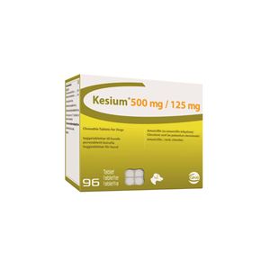 Picture of Kesium 500/125mg 1x6 tab