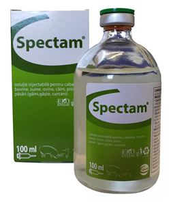 Picture of Spectam inj 100 ml